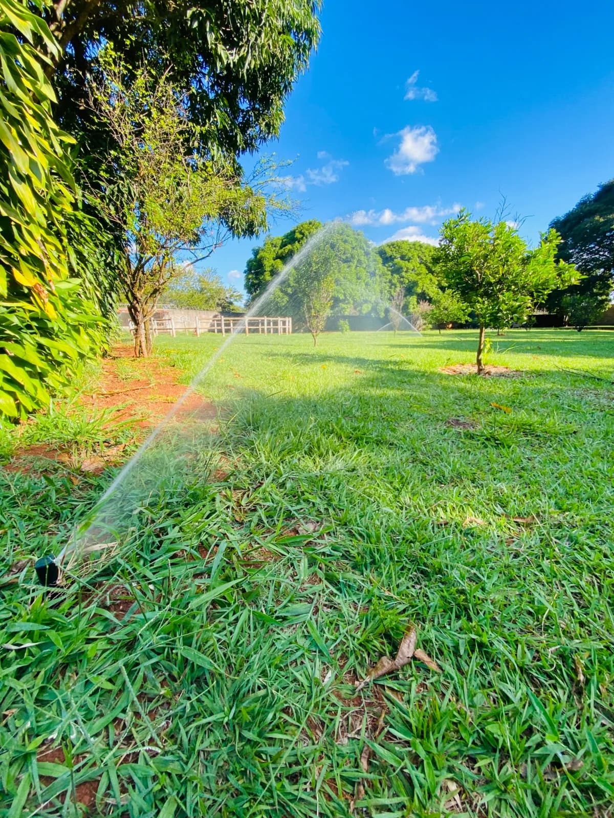 Aspersão cobrindo área arborizada em propriedade atendida pela Rural Top
